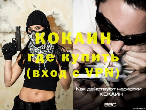 дмт Абаза